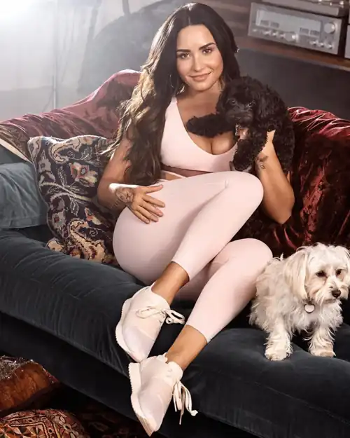 Demi fabletics (2017)
