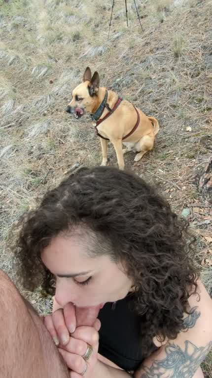 Just taking my dog for a walk...