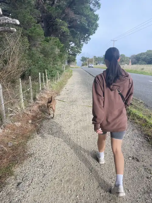 Ran everyday for the last 35 days! 