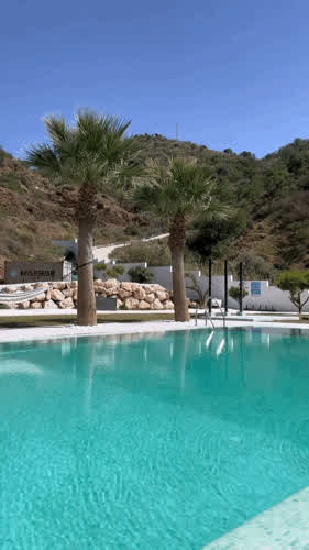 Morning stretches at the pool are the best