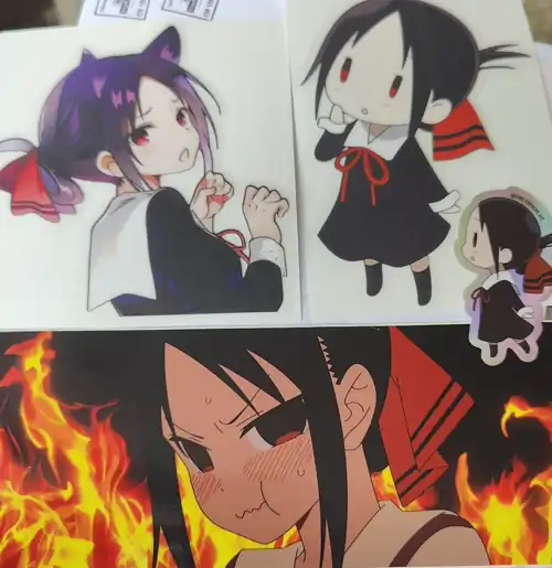 My order arrived