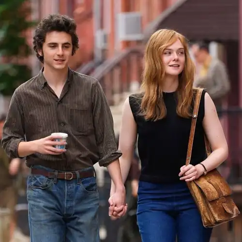 Elle in A Complete Unknown (2024)