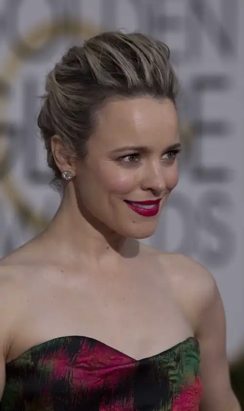 73rd Annual Golden Globe Awards, 2016