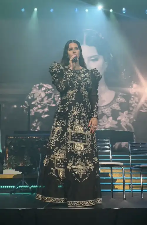 My best photo of Lana from her concert back in October!!