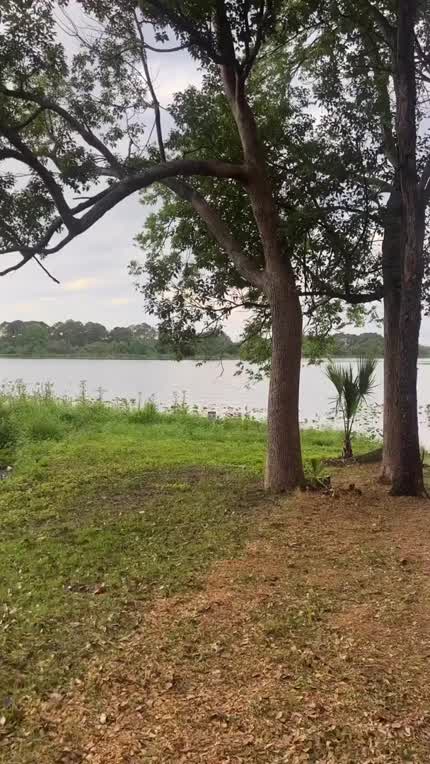Stretching against a tree backstage in Orlando - IG April 22, 2023