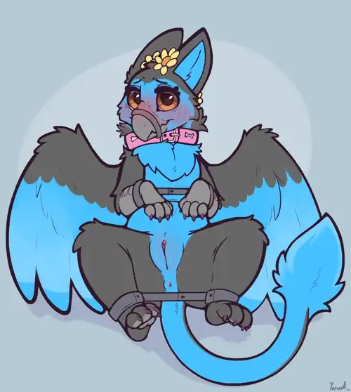 Female Zephyr (yurusa) [F]