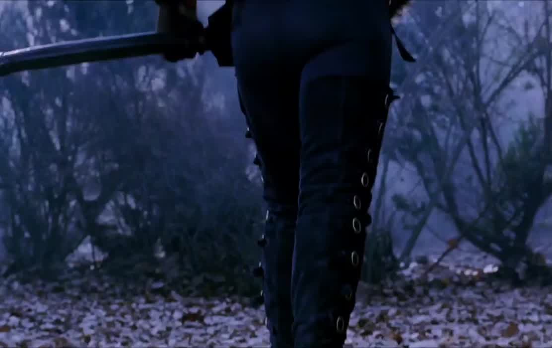 Twisting Beauty [Van Helsing]