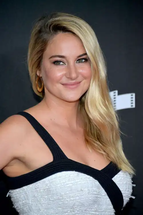 Attending the 2017 Hollywood Film Awards