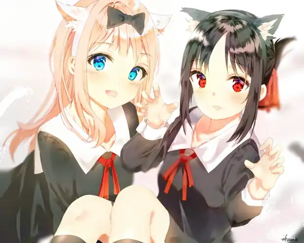 Cute kitties (By いふ)