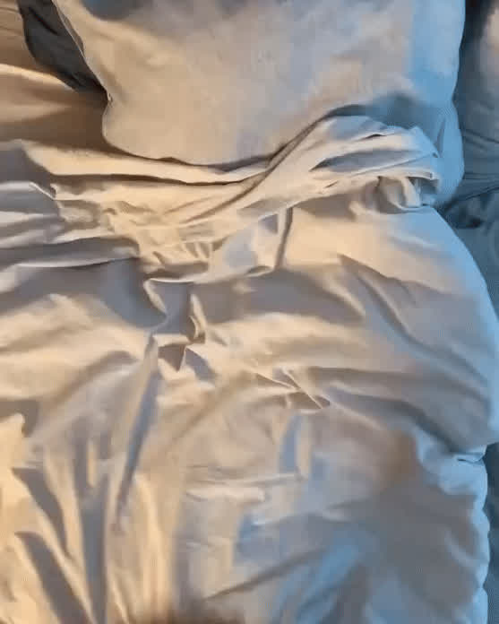 Massive bounce
