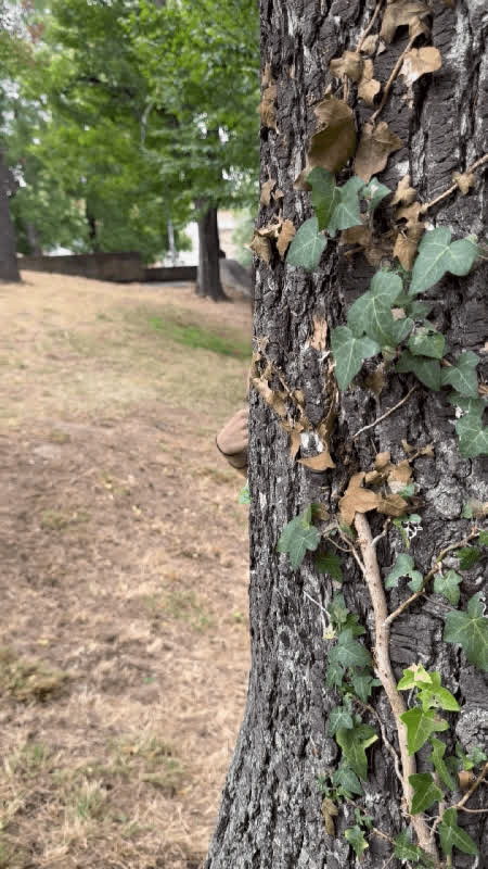 The best view you'll see today 