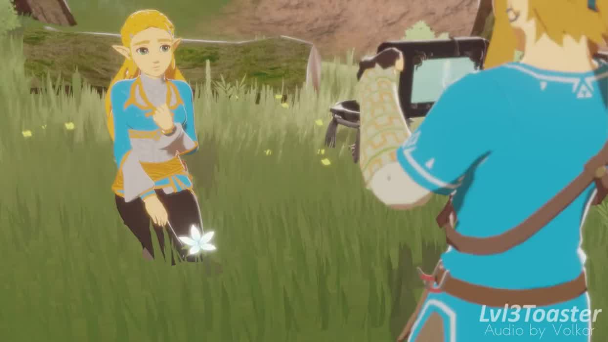 Link stasis prank on Zelda (Lvl3toaster) [The Legend of Zelda]