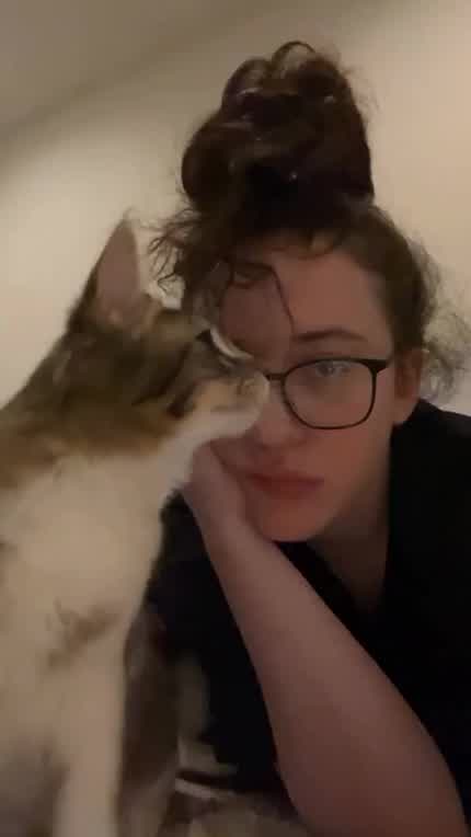 Kat with her cat (from her Instagram story, 2/22/24)