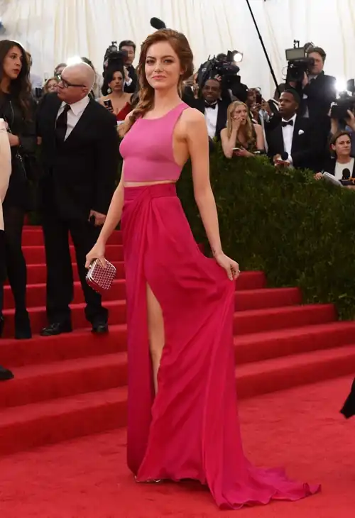 2014 MET Gala 5th May 2014